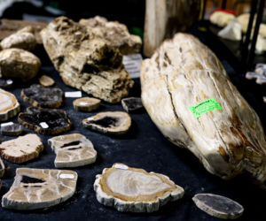 Giełda minerałów w Spodku przyciągnęła tłumy! GeoExpo ekspozycję wspaniałych cudeniek