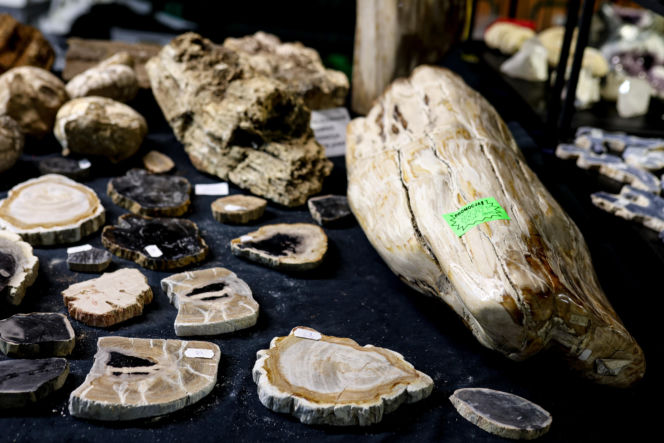 Giełda minerałów w Spodku przyciągnęła tłumy! GeoExpo ekspozycję wspaniałych cudeniek