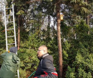  Budki lęgowe zawisły w bydgoskim Ogrodzie Botanicznym UKW w Bydgoszczy