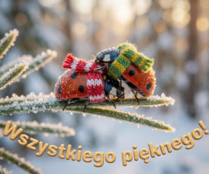 Życzenia świąteczne 2025 - KARTKI. Idealne życzenia na Whatsappa i Messengera