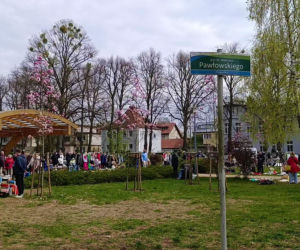 Pchli targ na Pogodnie