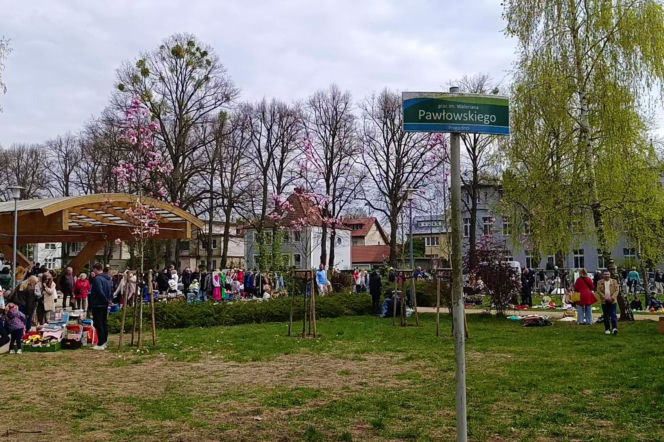 Pchli targ na Pogodnie