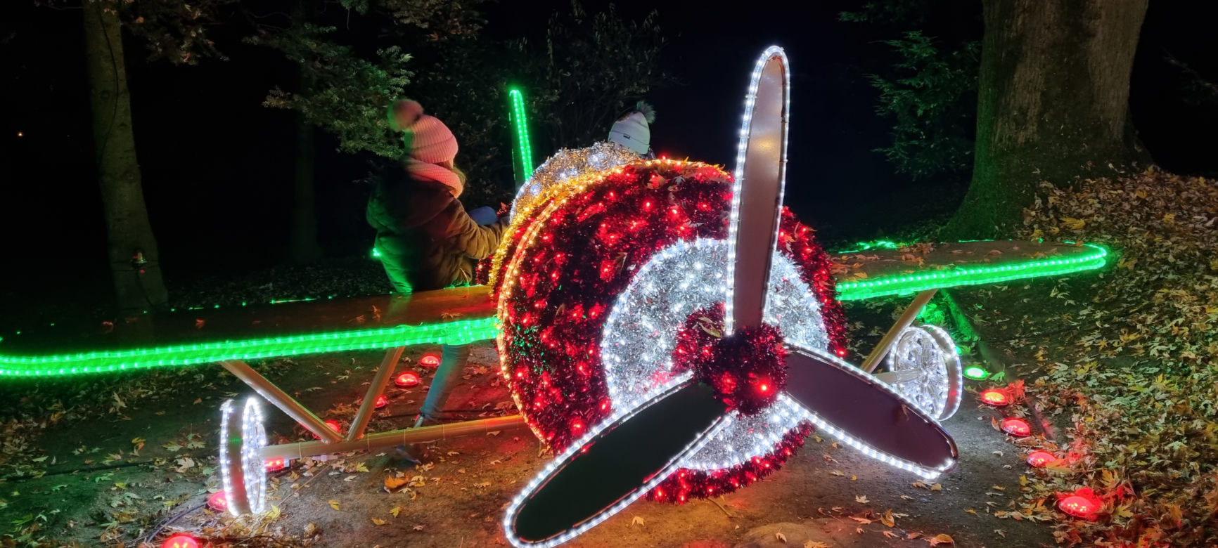 Ogród Botaniczny po zmroku zamienia się w magiczny ogród [GALERIA]