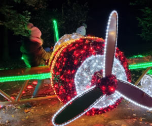 Ogród Botaniczny po zmroku zamienia się w magiczny ogród [GALERIA]