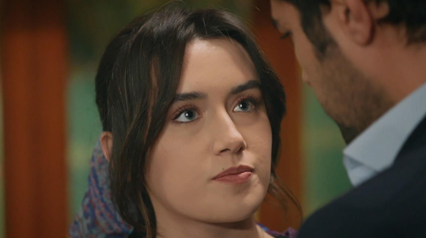 Wichrowe wzgórze odc. 354. Zeynep, Halil