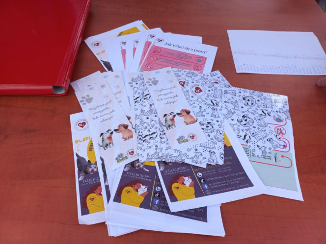 Przybyło psów w schronisku w Henrykowie koło Leszna. "Ilość zatrważająca"