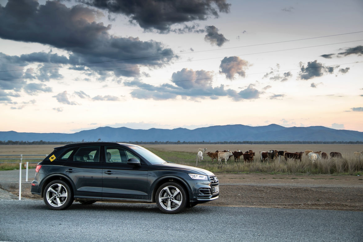 Audi Q5 2.0 TFSI quattro po Australii