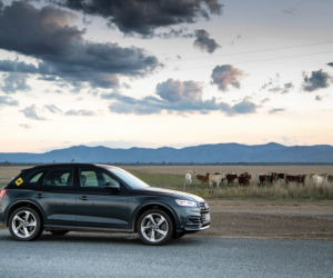 Audi Q5 2.0 TFSI quattro po Australii