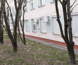 jednorazowe rękawiczki na trawnikach