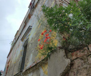 Dziesięć najbardziej wstydliwych miejsc Tarnowa. Niektóre straszą od wielu lat [CAŁA GALERIA]