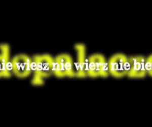 Dopalacze