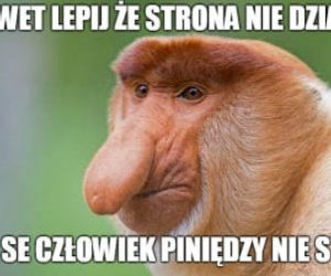 Black Friday memy