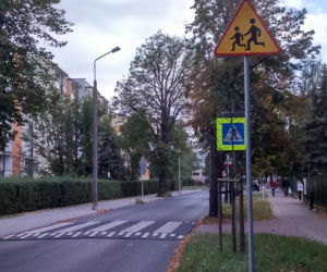 W Toruniu pojawiły się wyniesione przejścia dla pieszych. Sprawdziliśmy jak działają!