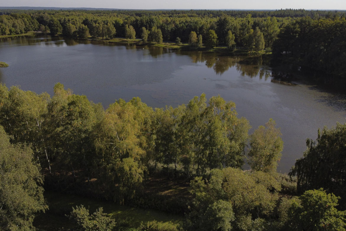 Śnięte ryby pod Wrocławiem