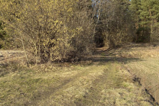 Znana detektyw komentuje sprawę Magdaleny Majtyki. „Nie można zakładać jednego scenariusza”