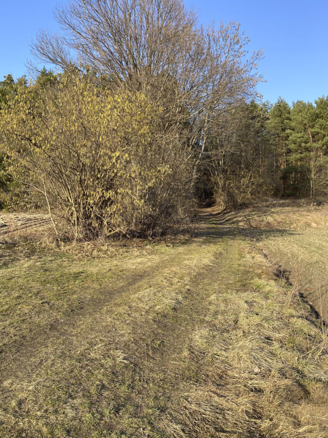 Znana detektyw komentuje sprawę Magdaleny Majtyki. „Nie można zakładać jednego scenariusza”
