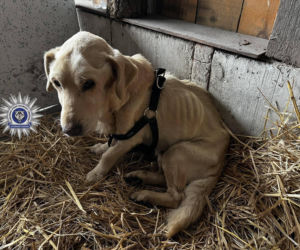 Szokująca interwencja w Chełmie