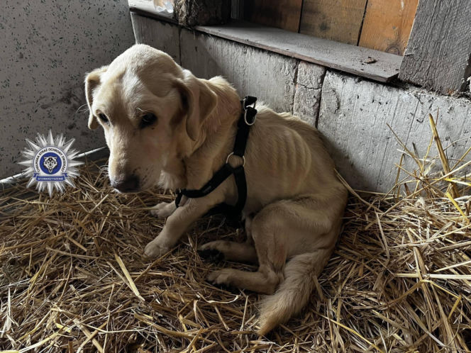 Szokująca interwencja w Chełmie