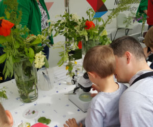 Piknik Naukowo-Rodzinny w Bydgoszczy