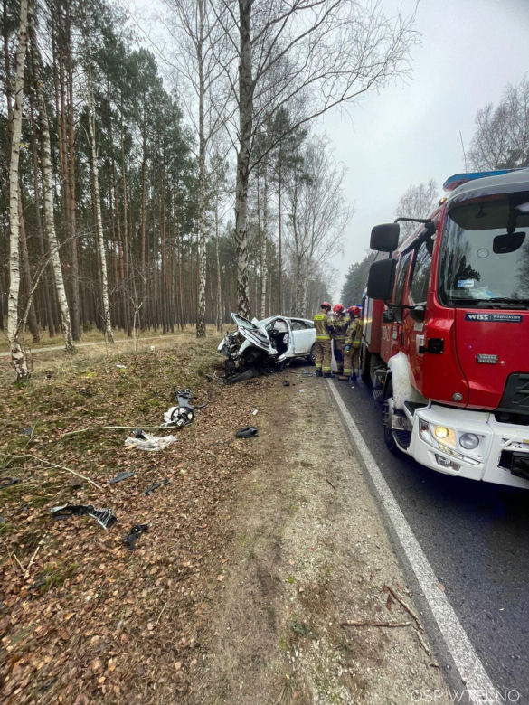 Groźny wypadek pod Bydgoszczą! Kierowca zakleszczony w aucie po uderzeniu w drzewo
