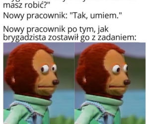 Memy o pracy