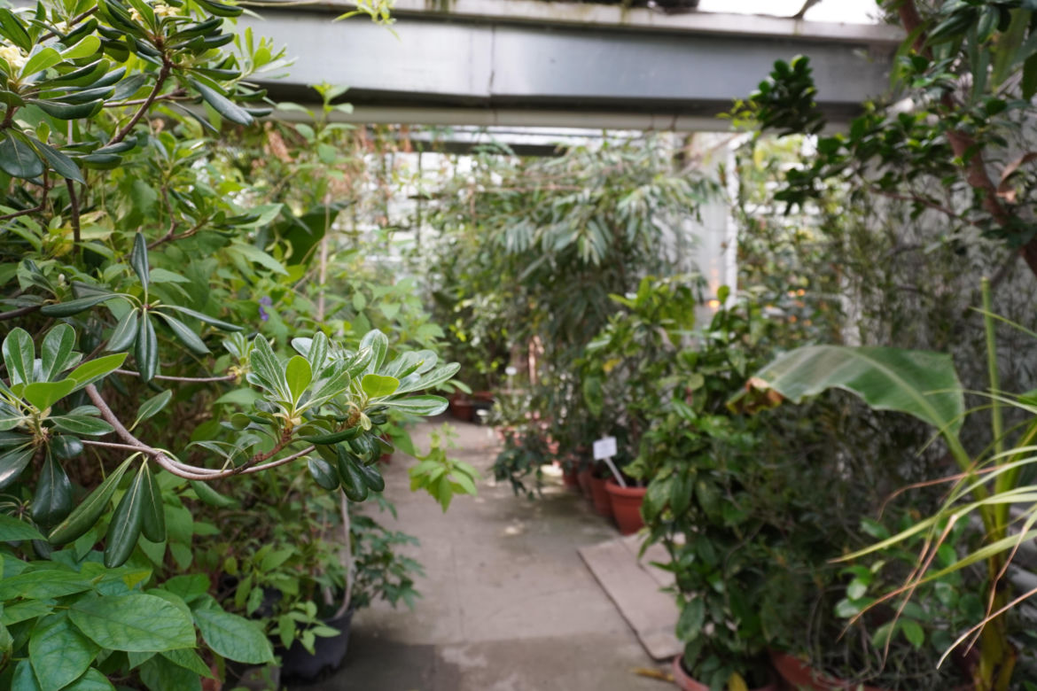 Ogród Botaniczny w Lublinie