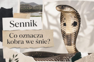 Kobra we śnie – co oznacza i jak ją interpretować?