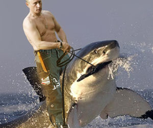 władimir putin