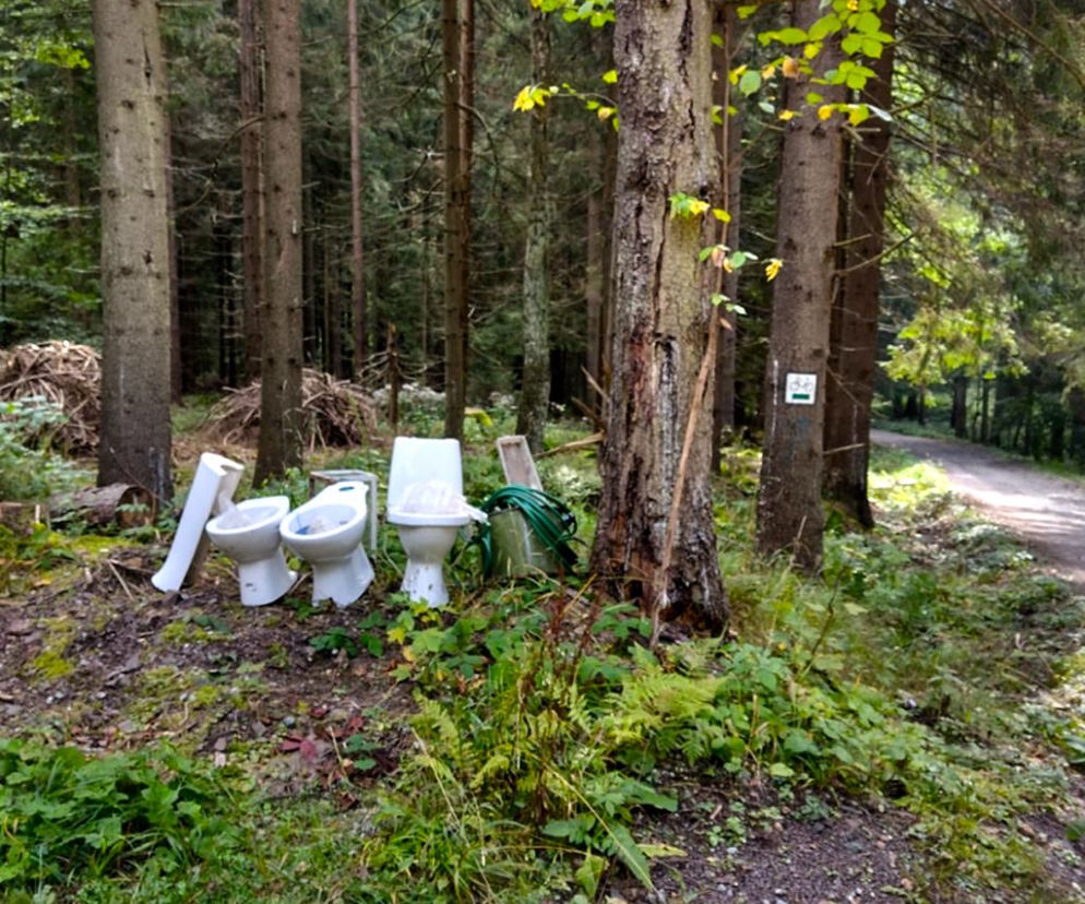 Góry Stołowe. Ktoś wyrzucił muszle klozetowe w parku. Poszukiwani świadkowie zdarzenia
