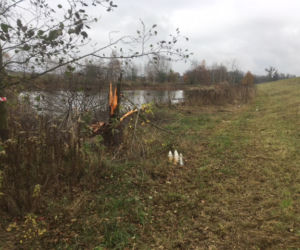 Straszna śmierć TRÓJKI nastolatków w Opatkowicach. Zginęli UWIĘZIENI w aucie [ZDJĘCIA]