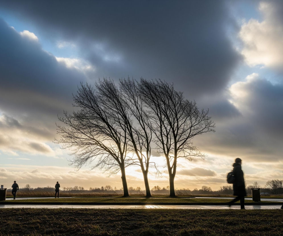 Scena przedstawia otwartą przestrzeń z kilkoma postaciami i drzewami na tle dynamicznego nieba. Trzy nagie drzewa, ułożone w centrum kadru, są wyraźnie widoczne jako ciemne sylwetki na tle jasnego słońca zachodzącego za nimi. Niebo jest częściowo pokryte ciemnymi, szarymi chmurami, które przeplatają się z fragmentami jasnego, błękitnego nieba i złotego światła.

W dolnej części zdjęcia, na pierwszym planie, rozciąga się pas ciemnej ziemi, częściowo pokrytej trawą, z odblaskami na mokrej powierzchni. Po obu stronach zdjęcia, na poziomie ziemi, znajdują się rozmyte sylwetki ludzi idących w różnych kierunkach, częściowo zamazane ruchem, co sugeruje dynamikę. W oddali, za drzewami i linią horyzontu, widać ciemną linię zarośli i zabudowań, również skąpanych w złotawym świetle.