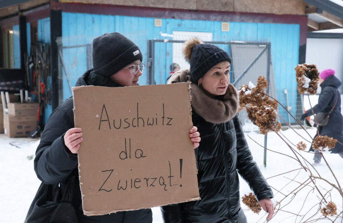 „Maszynka do mielenia mięsa i pałki z krwią”. Kulisy zamknięcia schroniska „Happy Dog”. Co dalej?