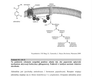 Matura próbna 2020 biologia, str.10