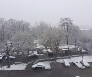 Śnieg we Wrocławiu