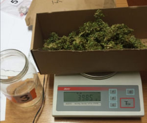 Mieszkaniec Zdzieszowic miał w domu bliko kilogram narkotyków