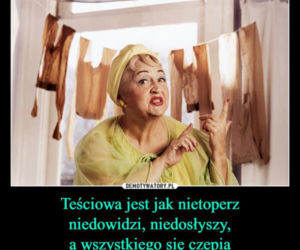 Tych memów o teściowych nie pokażesz mamie! Internauci nie mają litości. Tylko dla odważnych!