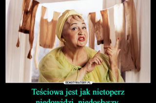 Tych memów o teściowych nie pokażesz mamie! Internauci nie mają litości. Tylko dla odważnych!