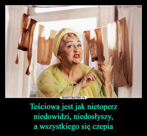 Tych memów o teściowych nie pokażesz mamie! Internauci nie mają litości. Tylko dla odważnych!