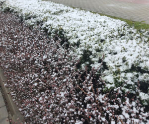 Śnieżyca nad Warszawą. Kiedy przestanie padać?