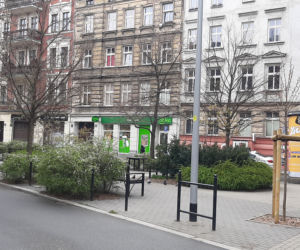 Wiosna 2021 w Poznaniu