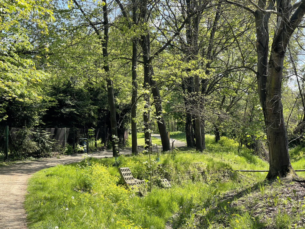 Kraków ma najdłuższy park w Polsce. Poznajcie Młynówkę Królewską! 