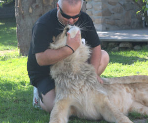 Lew Simba