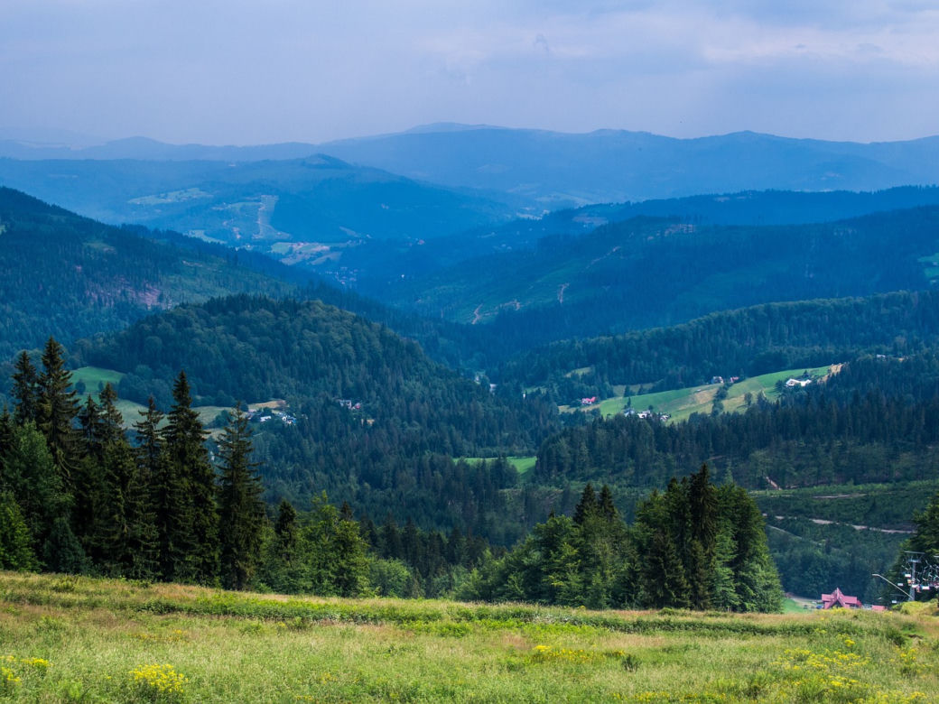Wisła