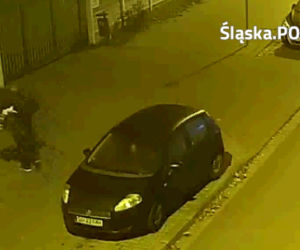 Katowice: Włamali się do sklepu budowlanego, łupy zapakowali do bagażnika. Rozpoznajesz ich? [ZDJĘCIA]
