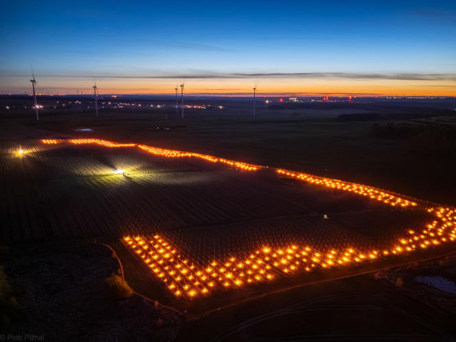 Przymrozki w winnicy - podgrzewanie winorośli
