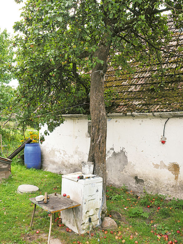 Syn powiesił mnie na drzewie