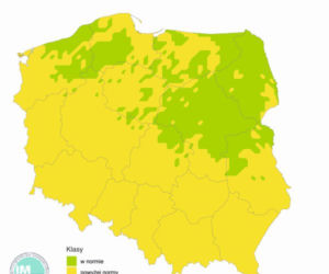 Pogoda na sierpień 2020: Długoterminowa prognoza pogody