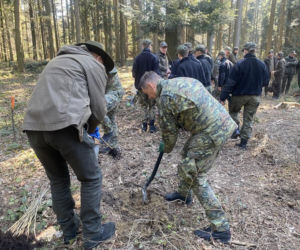 Strażnicy Graniczni sadzili drzewa z okazji 35-lecia swojej formacji