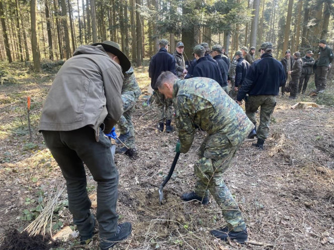 Strażnicy Graniczni sadzili drzewa z okazji 35-lecia swojej formacji
