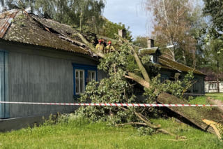 Silny wiatr na warszawskim Bemowie. Ogromna topola uszkodziła dach na Osiedlu Przyjaźń